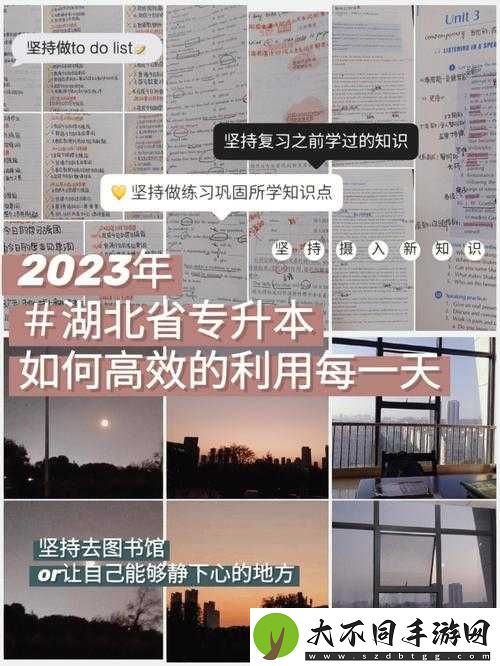 OTXO锁子甲究竟如何？全面解析其在资源管理、高效利用中的奥秘与防浪费策略