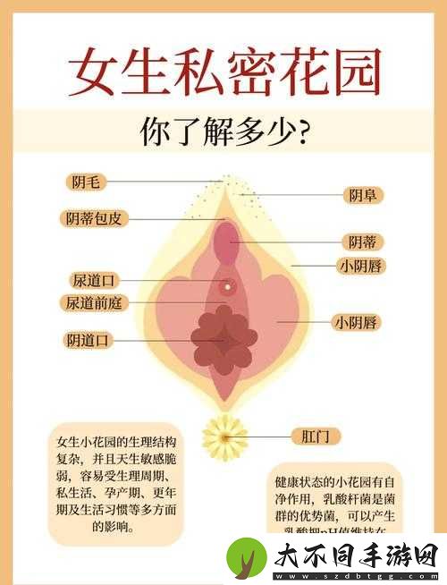 嫩玉缝是什么