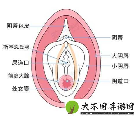 如何判断一个女生是不是处女