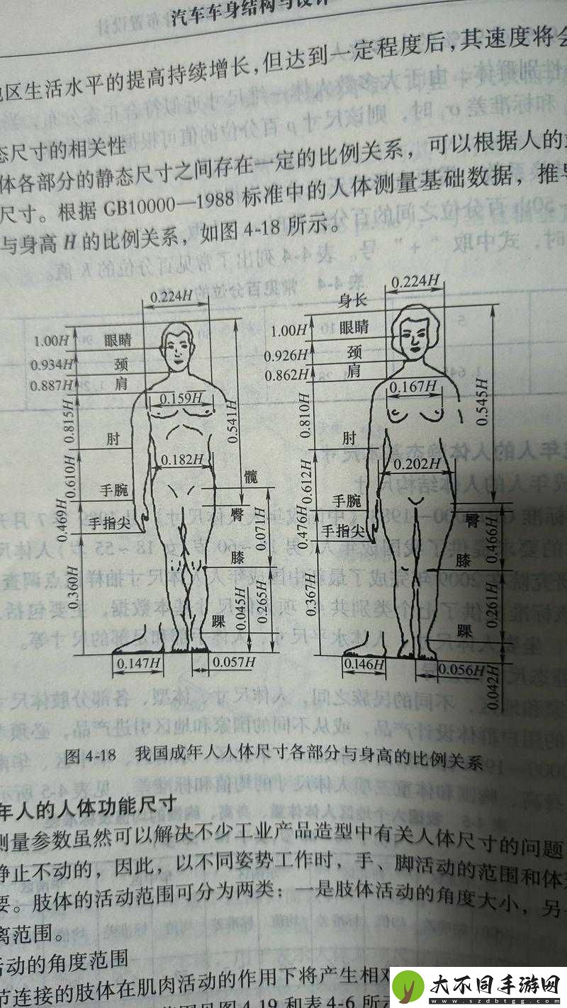 不同国家的人体尺寸存在差异