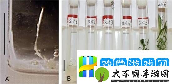 科学家复活了3万年前的种子,开花后发现和现在的并不相同