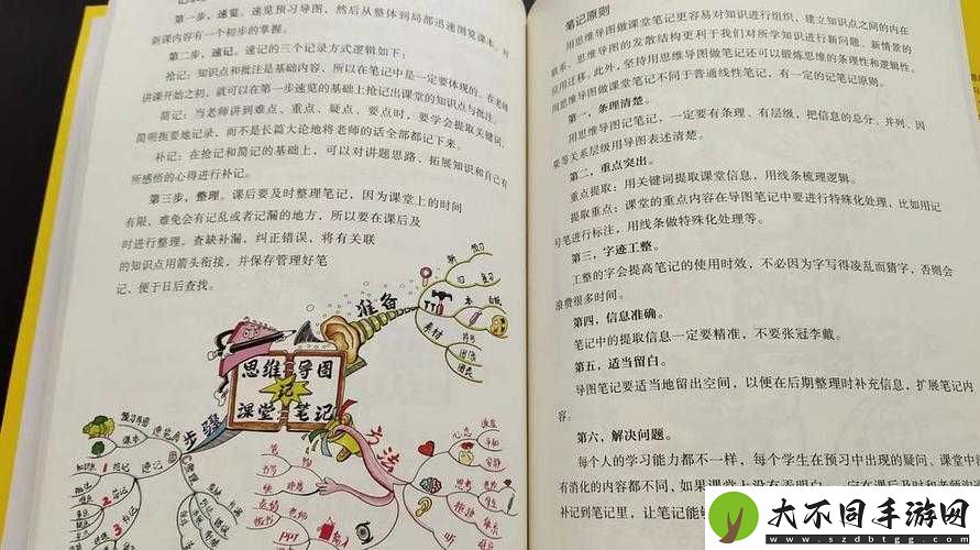火山的女儿算术比赛奖励如何？揭秘资源管理高效利用与防浪费策略