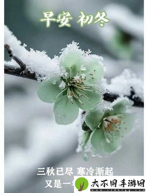 红霞岛早安成就如何快速解锁？消灭黑日谜团