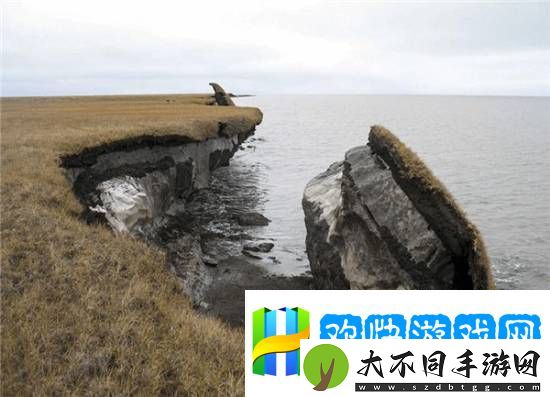 科学家复活了3万年前的种子 开花后发现和现在的并不相同