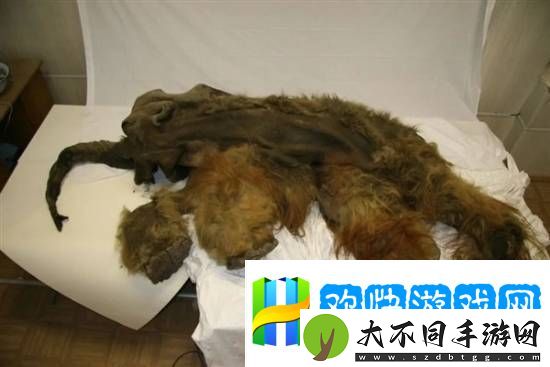 科学家复活了3万年前的种子,开花后发现和现在的并不相同
