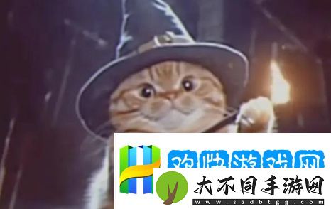 魔法猫猫是什么梗网络用语-魔法猫猫梗意思及出处分享