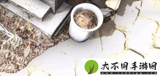 孙美琪疑案石门村惨案塑料桶在哪