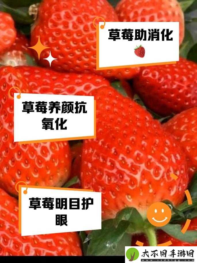 草莓视频旧版本有何特别之处