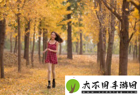 黄金站app免费大全中国友