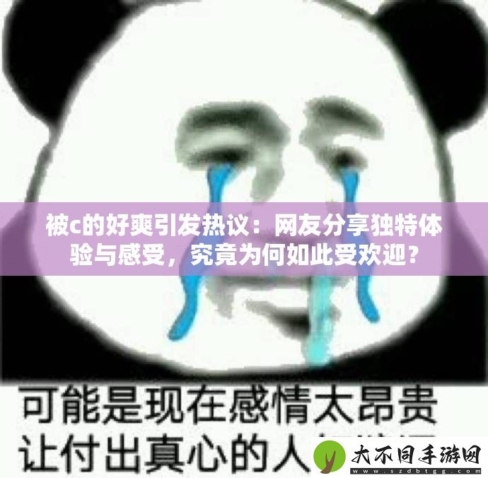 被c的好爽引发热议