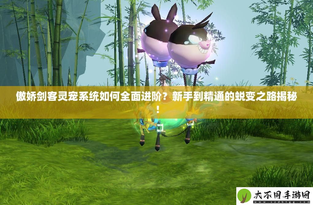 傲娇剑客灵宠系统如何全面进阶