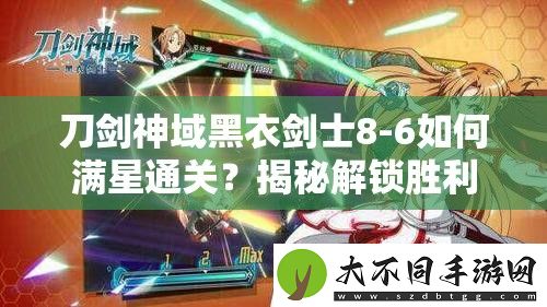 刀剑神域黑衣剑士8