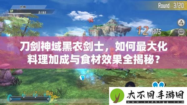 刀剑神域黑衣剑士