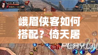 峨眉侠客如何搭配