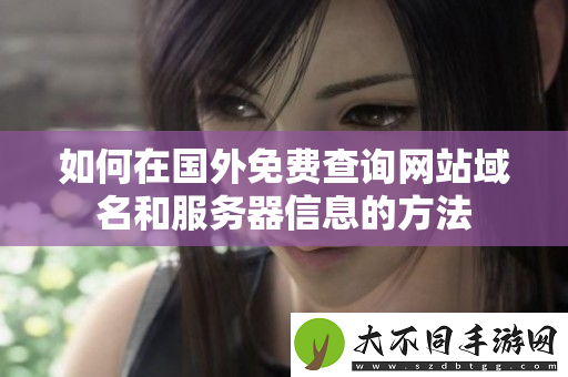 如何在国外免费查询网站域名和服务器信息的方法