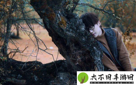 许嵩专辑呼吸之野有哪些歌