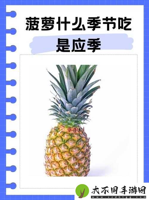 APP老司机都懂的大菠萝到底是什么