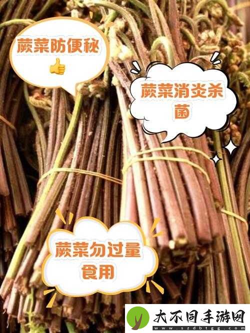 缺氧氧齿蕨竟有如此多用途？它还有哪些神奇之处未被发掘？