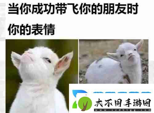 当你成功带飞你的朋友时表情包