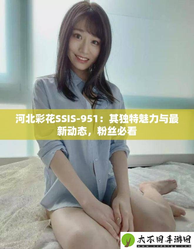 河北彩花SSIS
