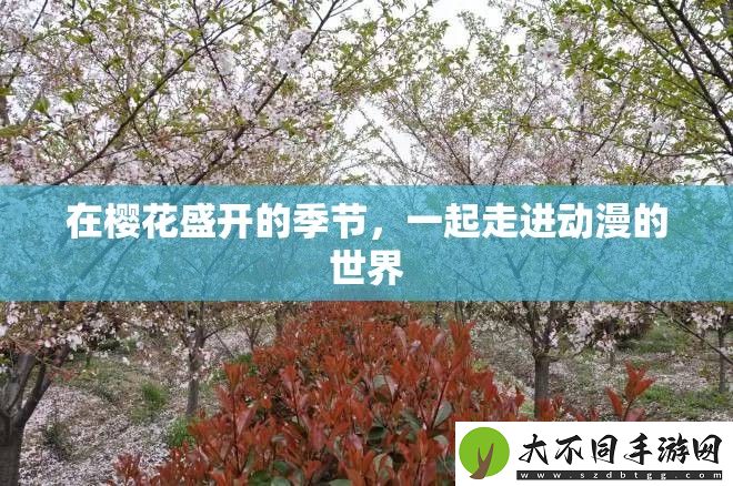 在樱花盛开的季节