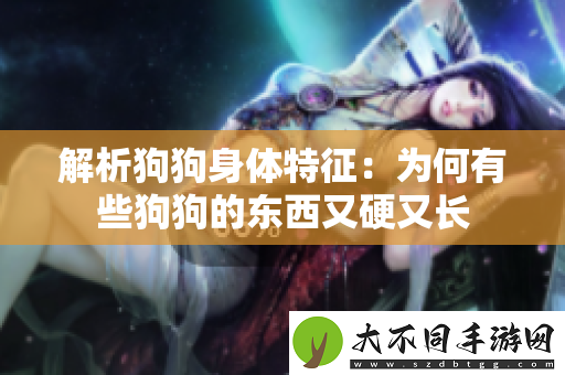 解析狗狗身体特征：为何有些狗狗的东西又硬又长