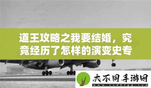 道王攻略之我要结婚