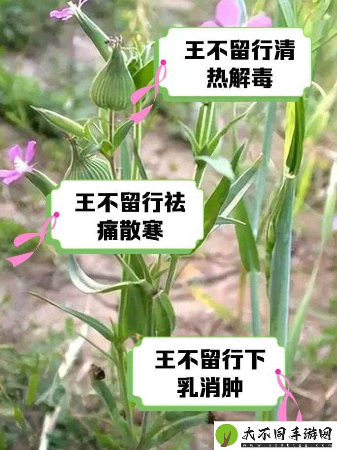 缺氧世界里