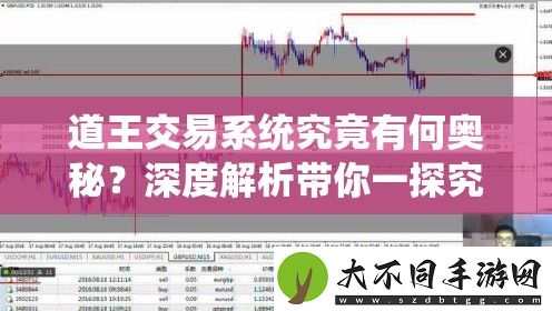 道王交易系统究竟有何奥秘