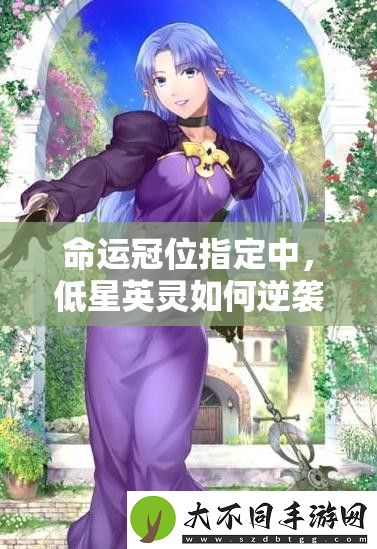 命运冠位指定中