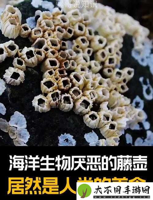 揭秘缺氧环境下的生存奇迹