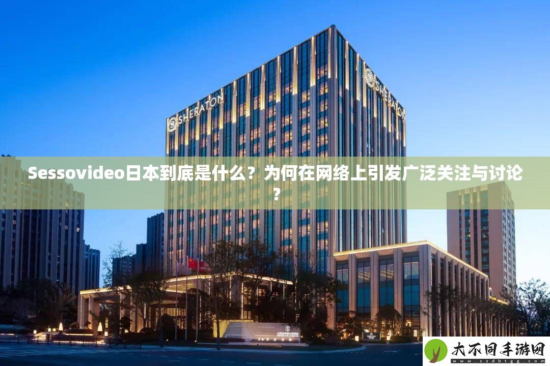 Sessovideo日本到底是什么