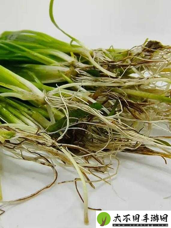 缺氧环境下