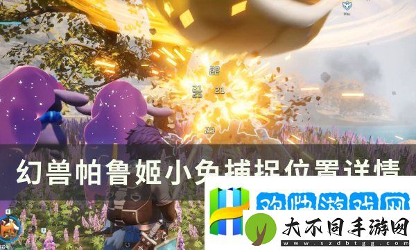 幻兽帕鲁姬小兔捕捉位置图文一览-姬小兔位置在哪