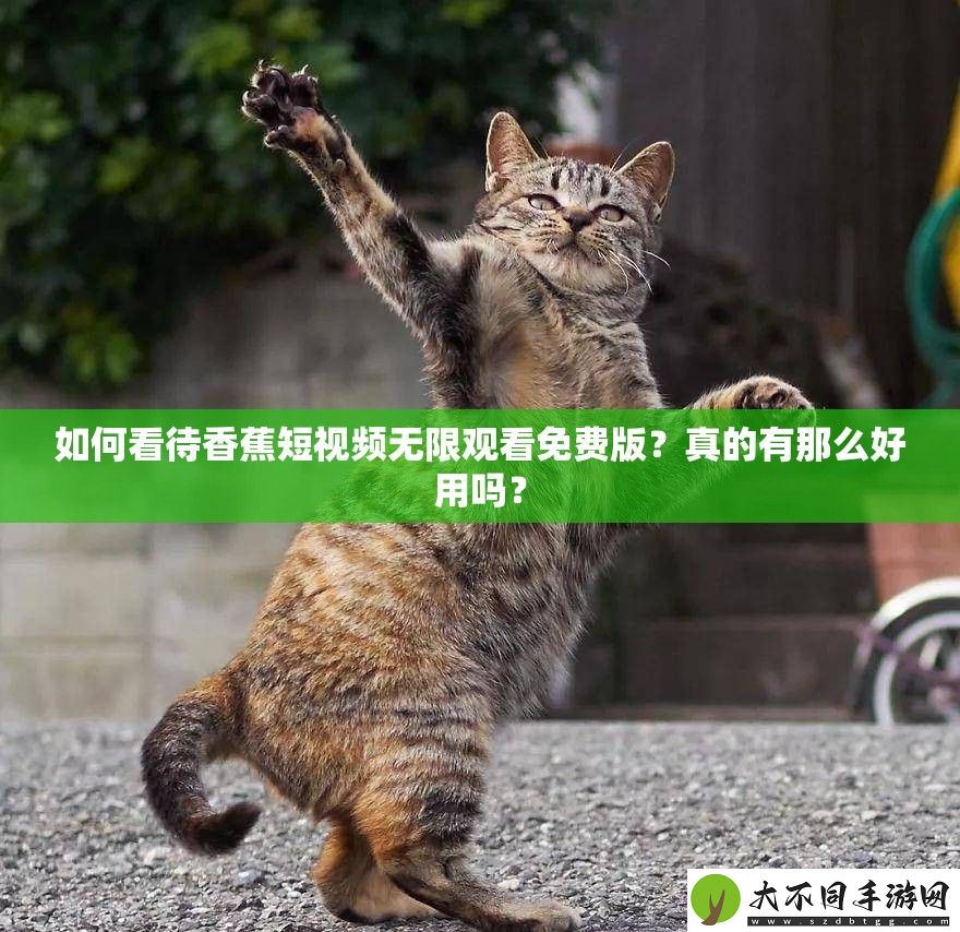 如何看待香蕉短视频无限观看免费版