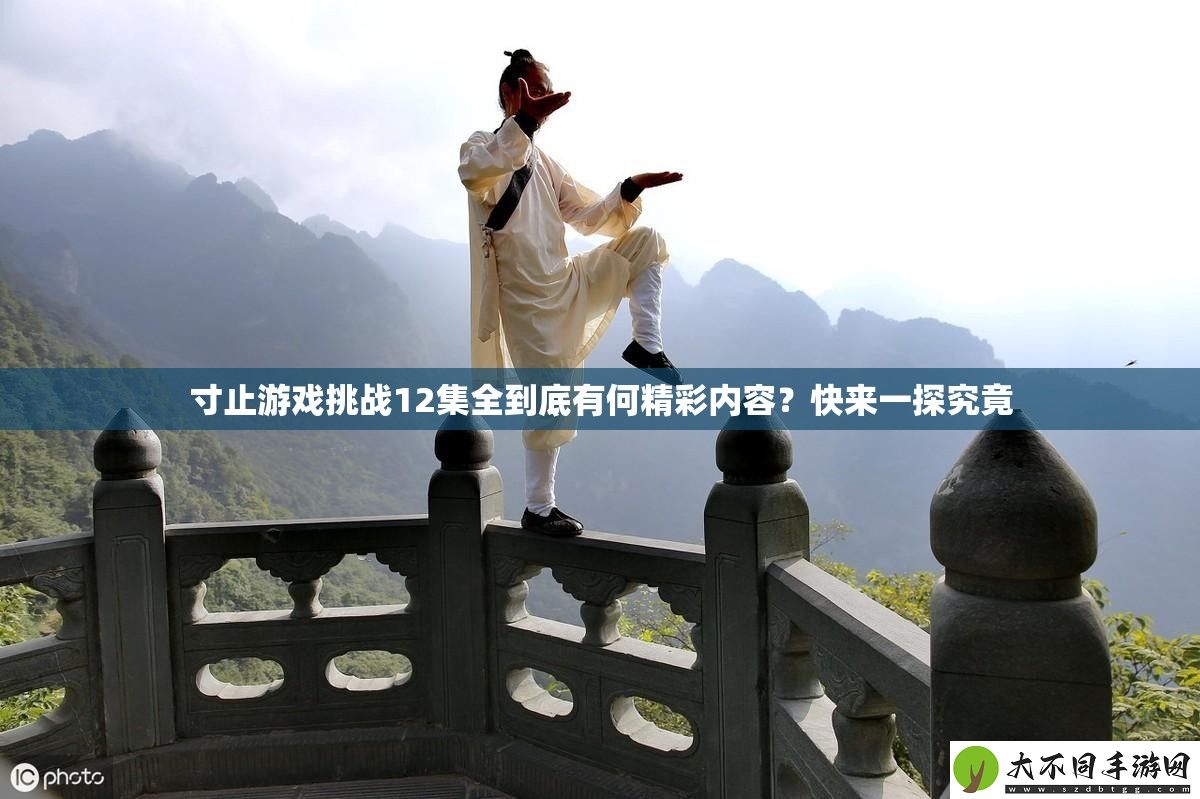 寸止游戏挑战12集全到底有何精彩内容