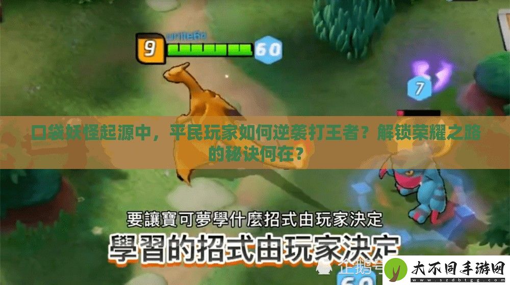 口袋妖怪起源中