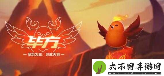 QQ飞车手游毕方如何获取？揭秘金秋萌宠技能演变史引悬念