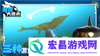 影子武士2字幕的样式——如何影响玩家的游戏体验与视觉享受