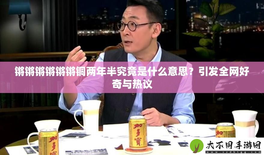 锵锵锵锵锵锵铜两年半究竟是什么意思
