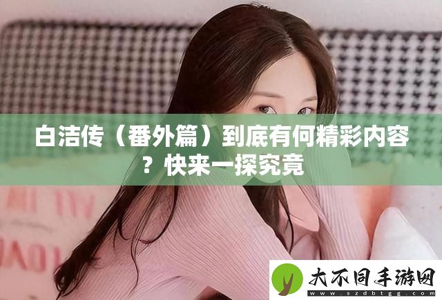白洁传