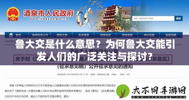 鲁大交是什么意思