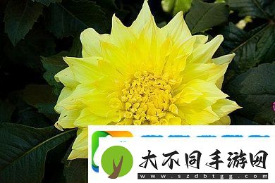 一本久道久久综合狠狠爱一密臀精