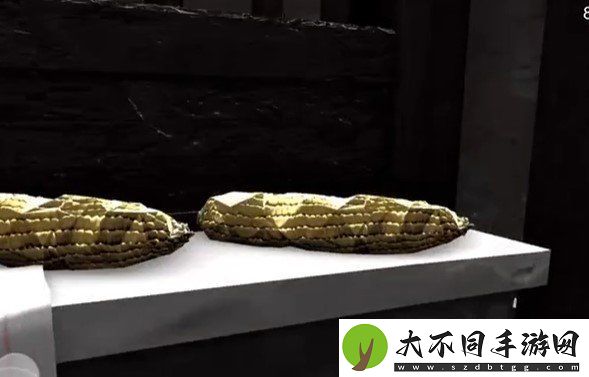 孙美琪疑案石门村惨案臧家廉在哪