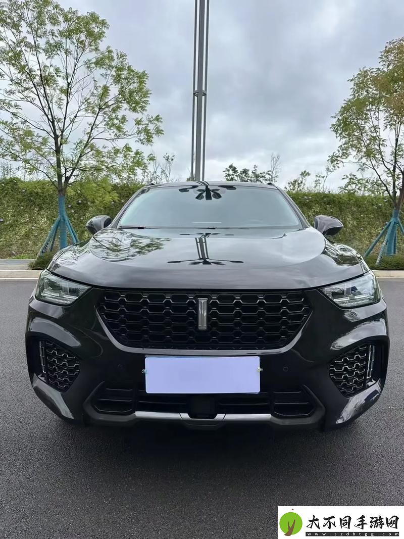 多角度解析weyvv5国产的SUV