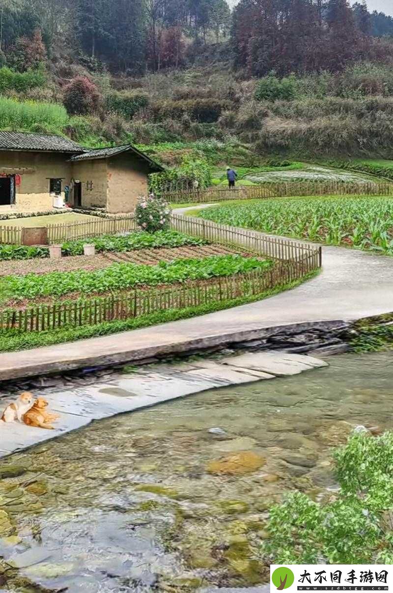 在乡村