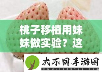 桃子移植用妹妹做实验