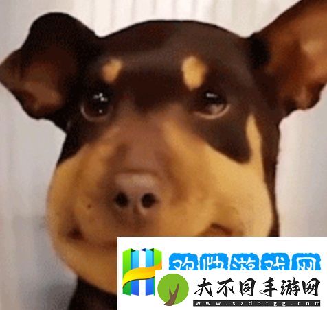 蜜蜂修勾是什么梗网络用语-蜜蜂修勾梗意思及出处分享