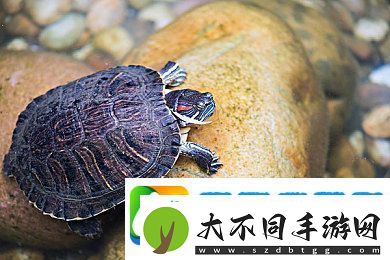 一本久道久久综合狠狠爱一密臀精