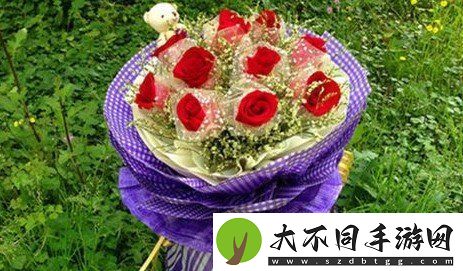 520送女朋友什么礼物比较好